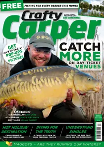 Crafty Carper Crafty Carper February 2017