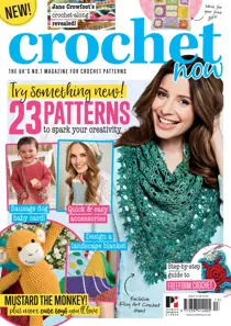 Issue 13 
                issue Issue 13