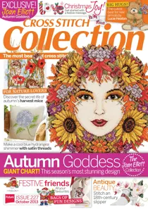 October 2013 
                issue October 2013