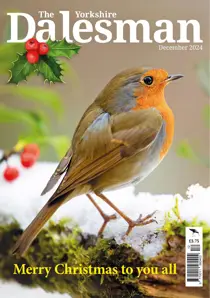 December 2024 
                issue December 2024