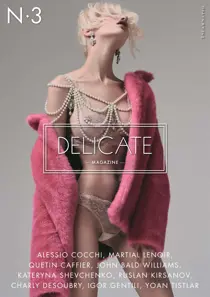 Delicate Magazine 3 
                issue Delicate Magazine 3
