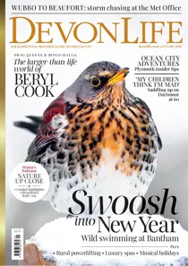 January 2026 
                issue January 2026