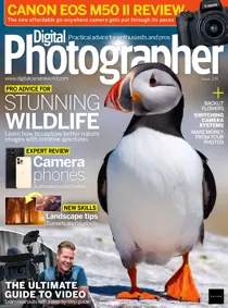 Issue 239 
                issue Issue 239