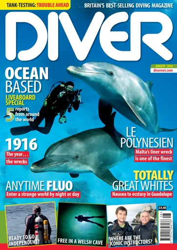 DIVER Preview