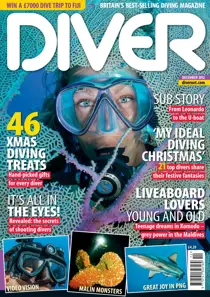 December 2012 
                issue December 2012