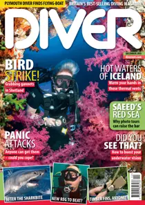 DECEMBER 2013 
                issue DECEMBER 2013