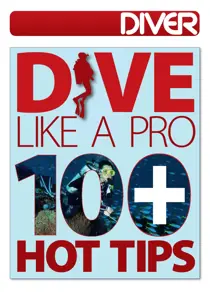 DIVE LIKE A PRO 
                issue DIVE LIKE A PRO