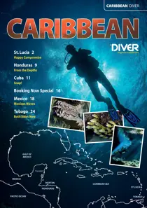 DIVER DIVER CARIBBEAN Supplement
