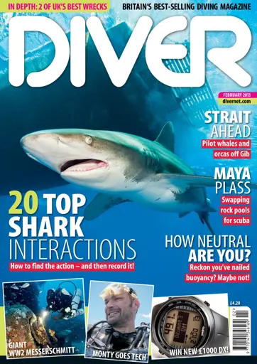 DIVER Preview