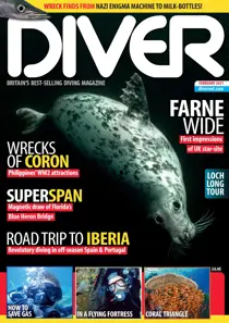 DIVER FEBRUARY 2021