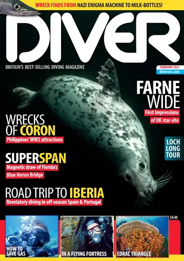 DIVER Preview