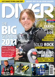 January 2011 
                issue January 2011