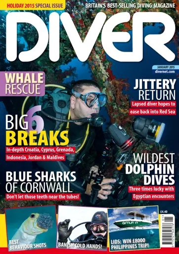 DIVER Preview