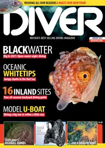 DIVER JANUARY 2021