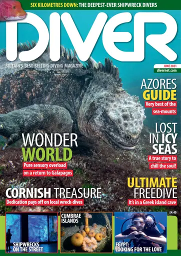 DIVER Preview