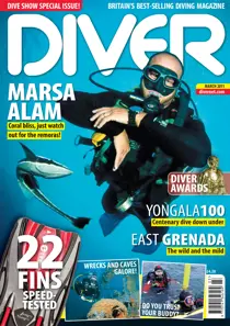 March 2011 
                issue March 2011