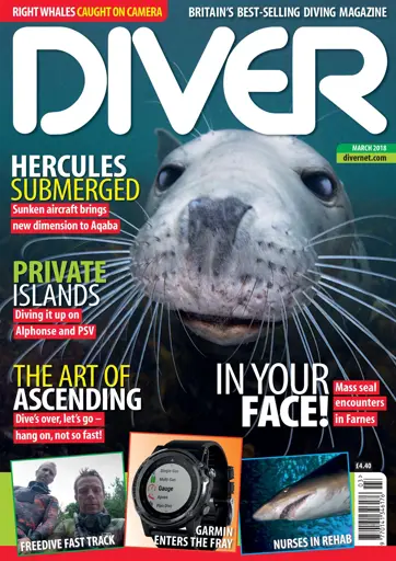 DIVER Preview