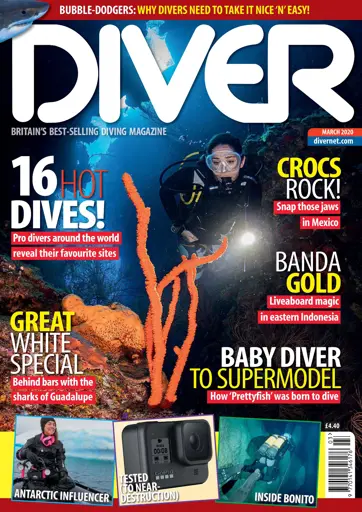 DIVER Preview