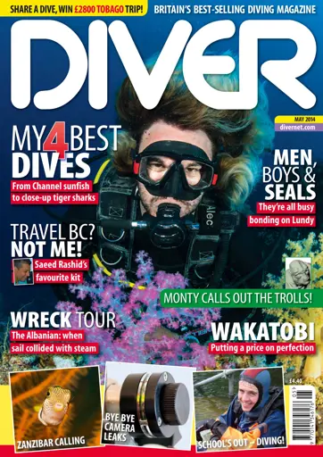 DIVER Preview