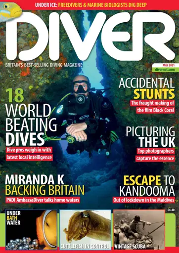 DIVER Preview