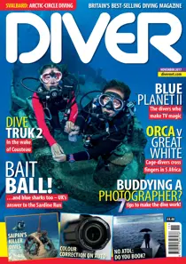 NOVEMBER 2017 
                issue NOVEMBER 2017