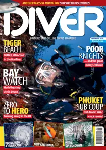 DIVER NOVEMBER 2020