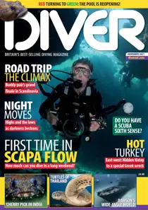 NOVEMBER 2021 
                issue NOVEMBER 2021