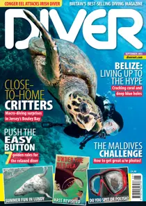 SEPTEMBER 2013 
                issue SEPTEMBER 2013