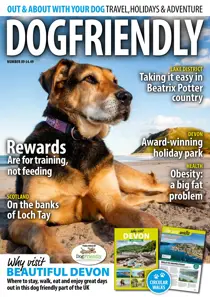 Complete Your Collection Cover 1