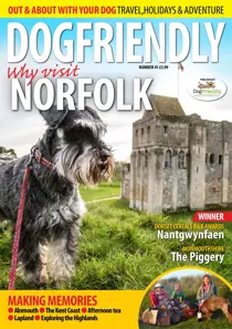 Mar-Apr 17 
                issue Mar-Apr 17