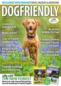 Mar-Apr 22 
                issue Mar-Apr 22