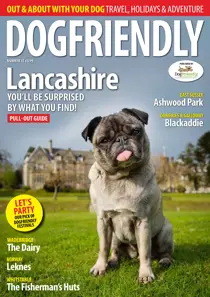 No. 31 - Jul  Aug 2015 
                issue No. 31 - Jul  Aug 2015