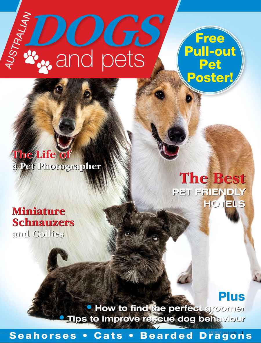 Dogs and Pets issue 8