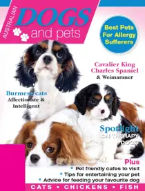 Dogs and Pets Issue 3