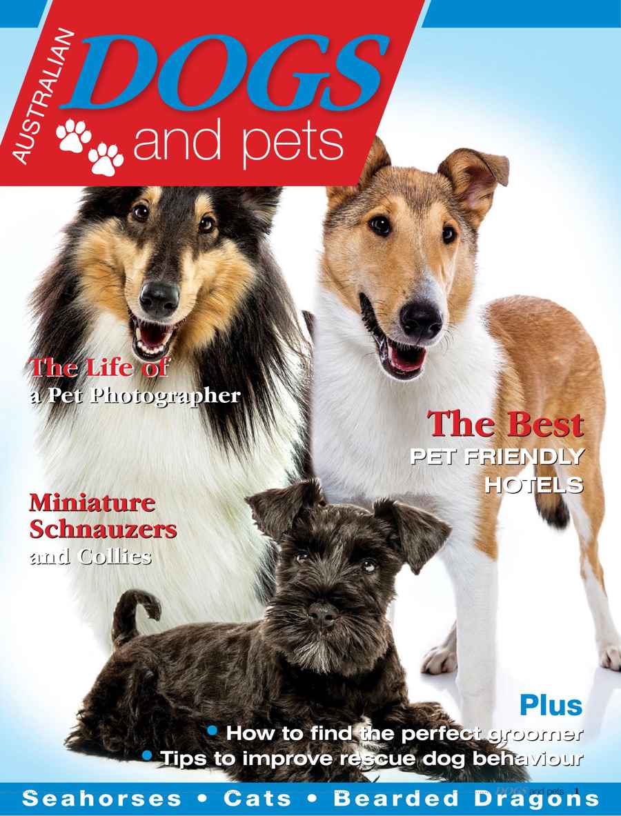 Dogs and Pets issue Issue 7
