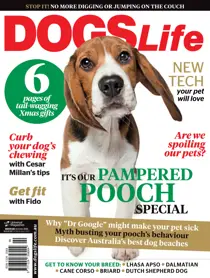 Issue#128 Nov/Dec 14 
                issue Issue#128 Nov/Dec 14