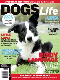 Mar/Apr Issue#136 
                issue Mar/Apr Issue#136