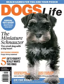 Oct Issue#146 2017 
                issue Oct Issue#146 2017