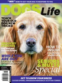 Sept/Oct Issue#133 
                issue Sept/Oct Issue#133