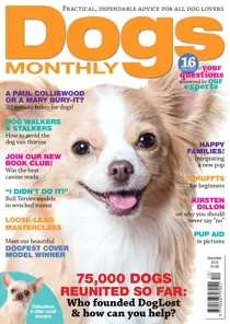 December 2016 
                issue December 2016