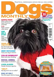 December 2018 
                issue December 2018