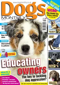 Dogs Monthly April 2013 
                issue Dogs Monthly April 2013