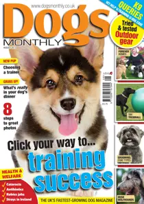 Dogs Monthly August 2013 
                issue Dogs Monthly August 2013