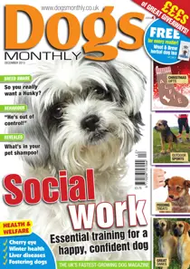 Dogs Monthly December 2013 
                issue Dogs Monthly December 2013