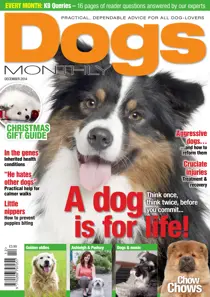 Dogs Monthly December 2014 
                issue Dogs Monthly December 2014