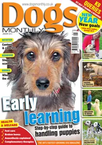 Dogs Monthly January 2013 
                issue Dogs Monthly January 2013