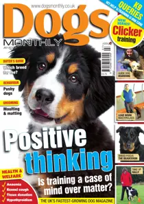 Dogs Monthly July 2013 
                issue Dogs Monthly July 2013