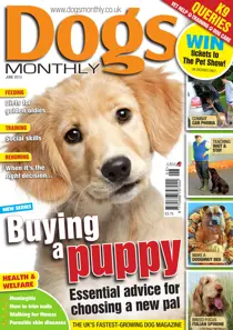 Dogs Monthly June 2013 
                issue Dogs Monthly June 2013