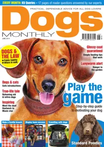 Dogs Monthly June 2014 
                issue Dogs Monthly June 2014