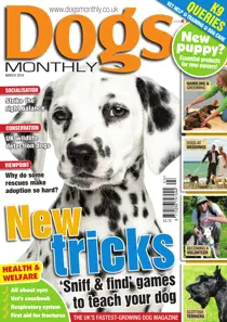 Dogs Monthly March 2014 
                issue Dogs Monthly March 2014